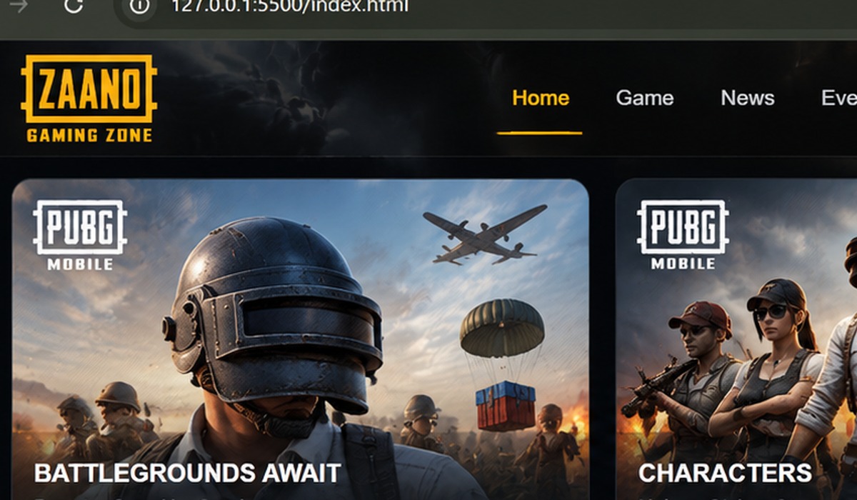 ZAANO PUBG gaming artwork